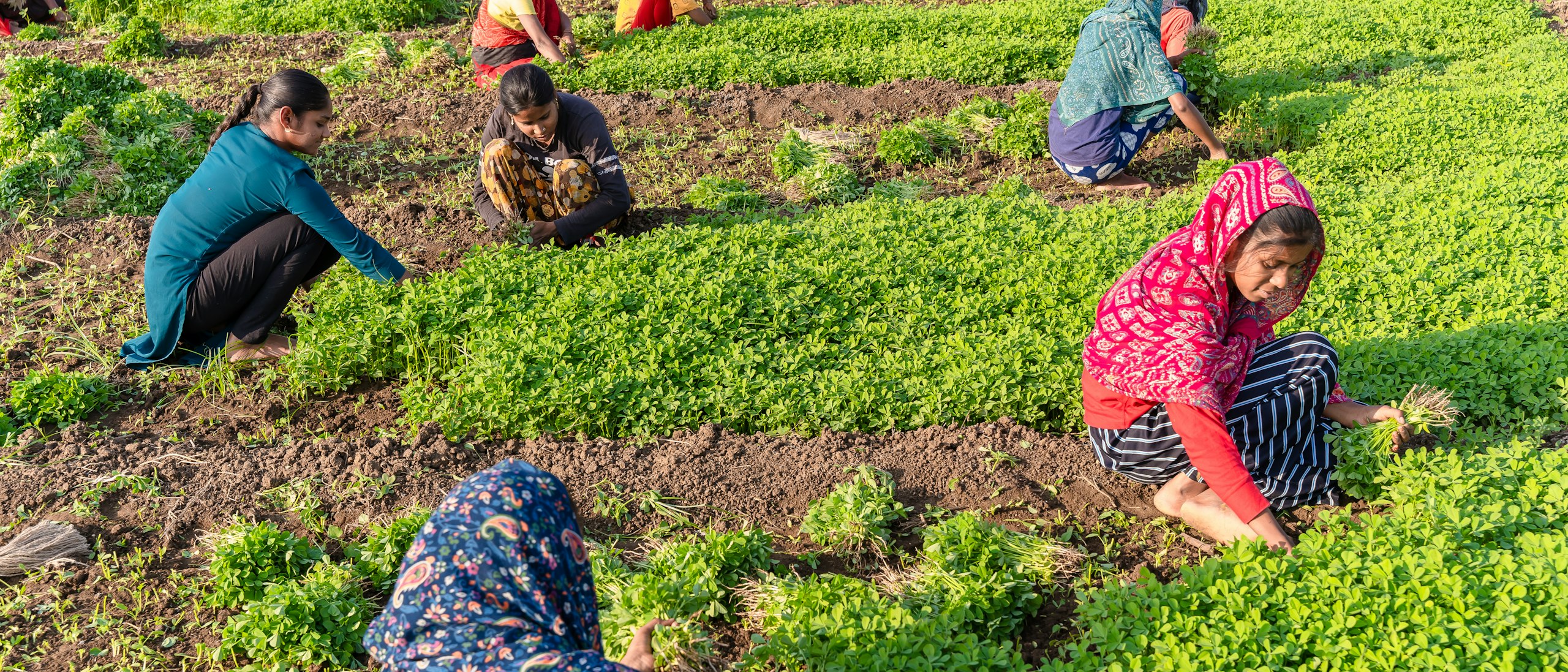 Menschen bei der Arbeit auf dem Feld